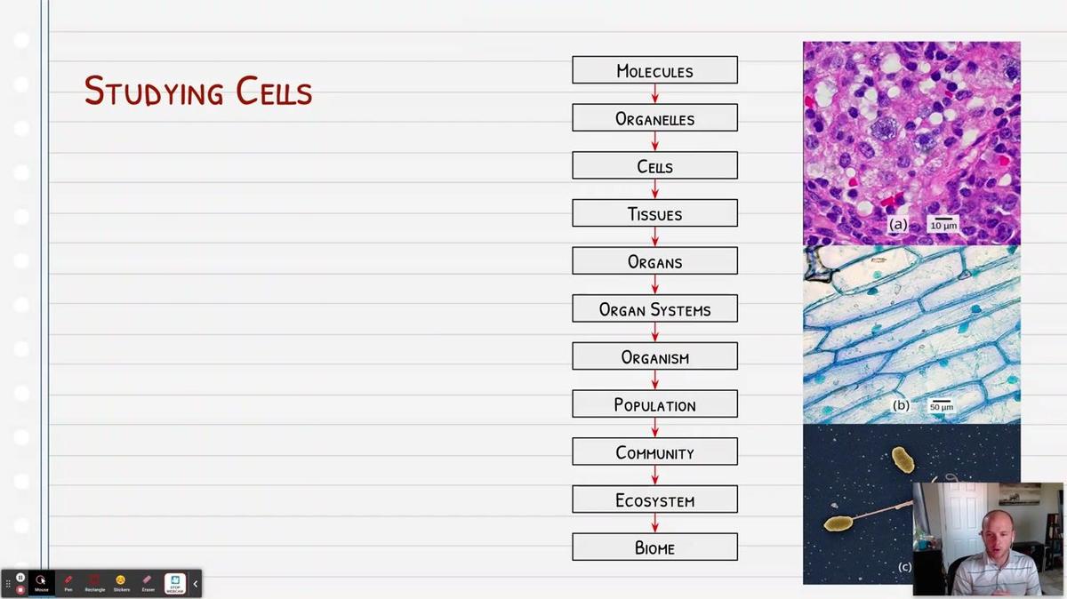 Topic 6: Cell Theory
