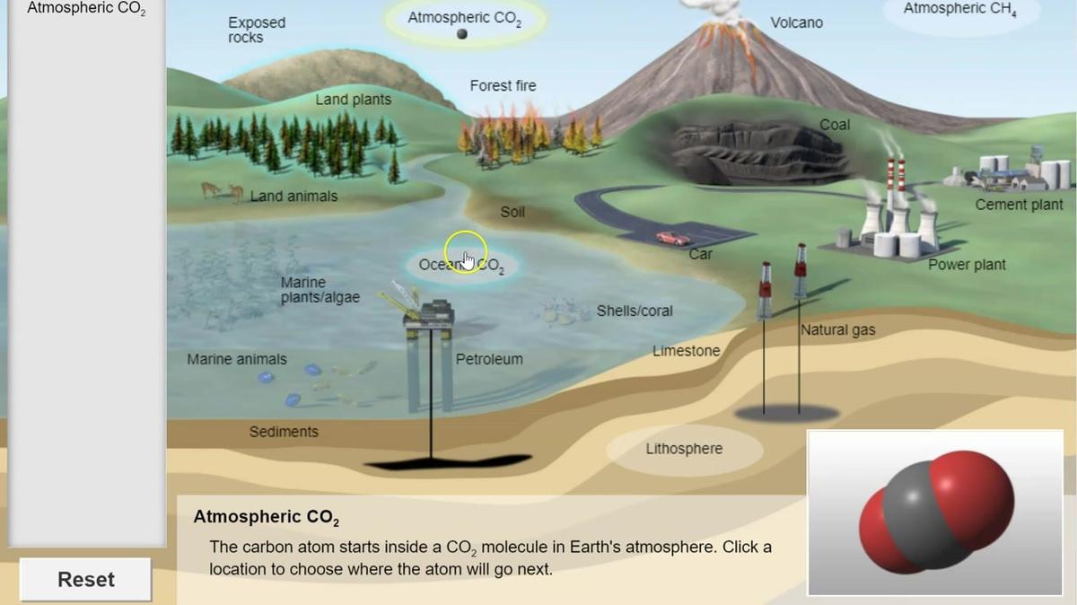 Topic 4: Carbon Cycle Gizmo Intro