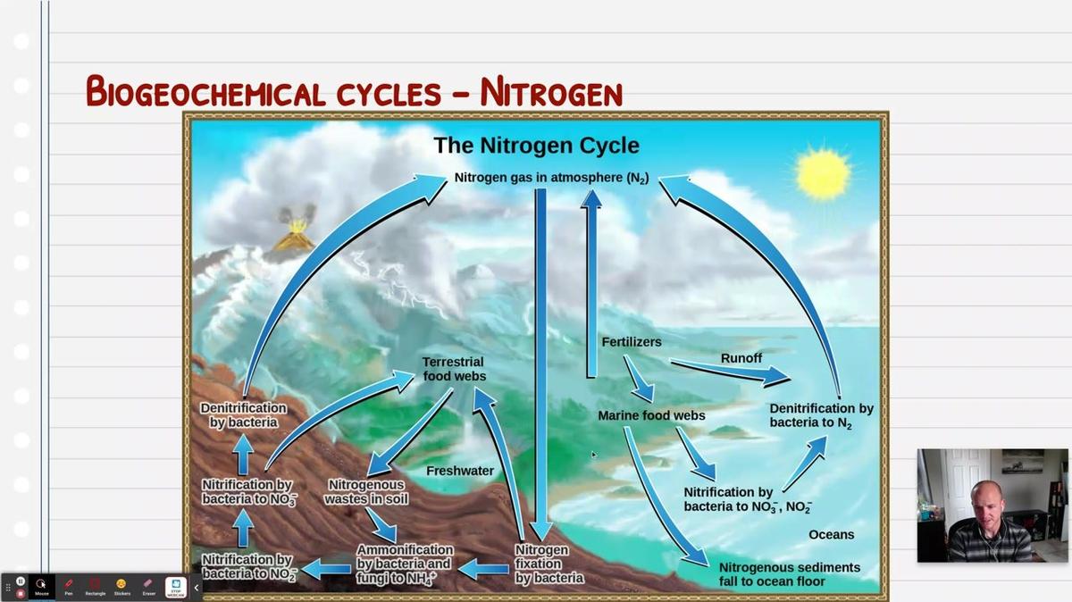 Topic 4: The Nitrogen Cycle