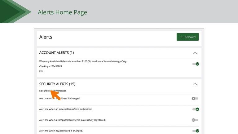 Security Alerts