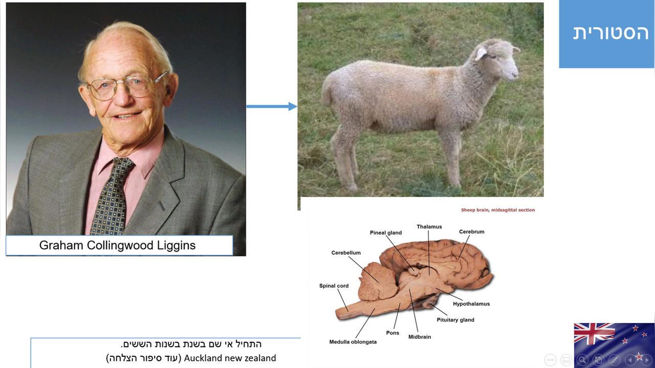 Rec 03-01-21_screen_video_mic_audio.avi