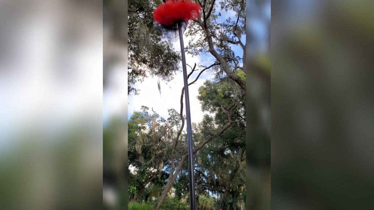 C.V. Sway Pole