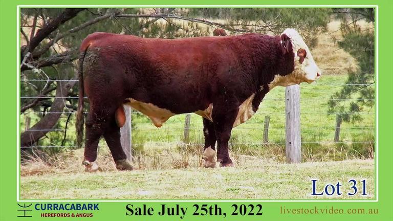 Lot 31 Curracabark 2022