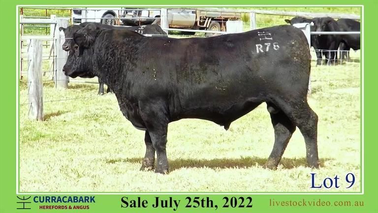 Lot 9 Curracabark 2022