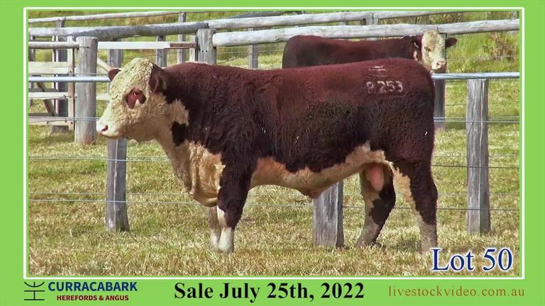 Lot 50 Curracabark 2022