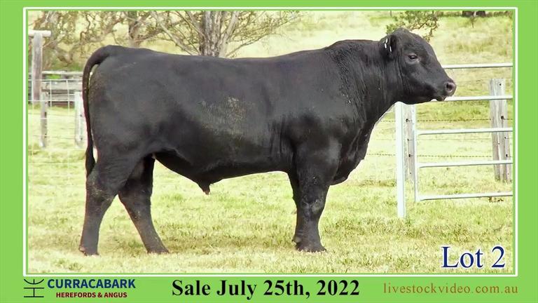 Lot 2 Curracabark 2022