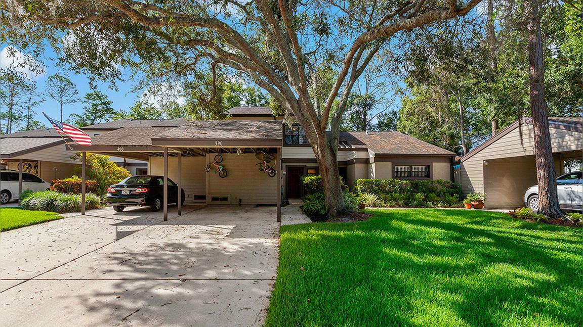 390 Woods Landing Trail, Oldsmar, FL 34677