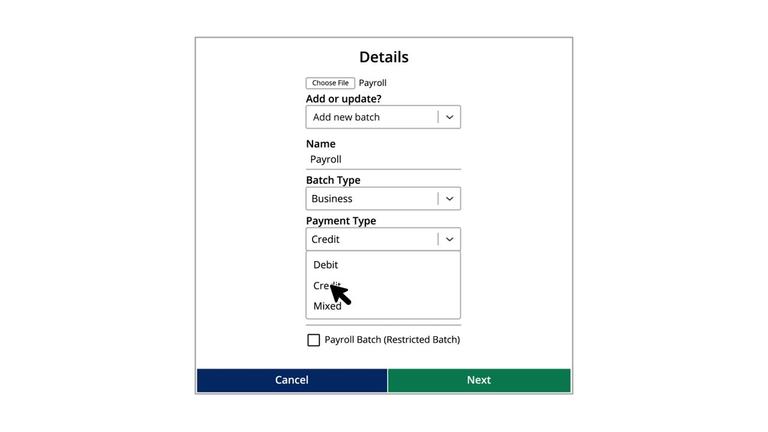 Batch Payee List: Import Delimited File