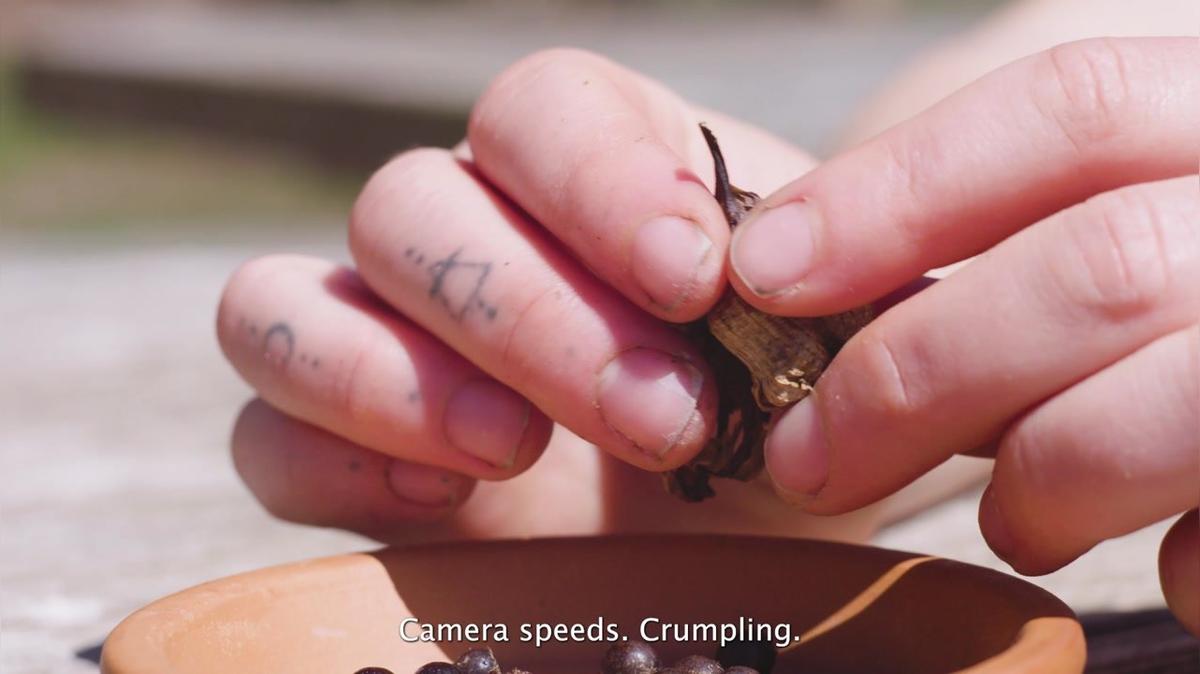 EARTH DAY 2022 TEASER 16-9