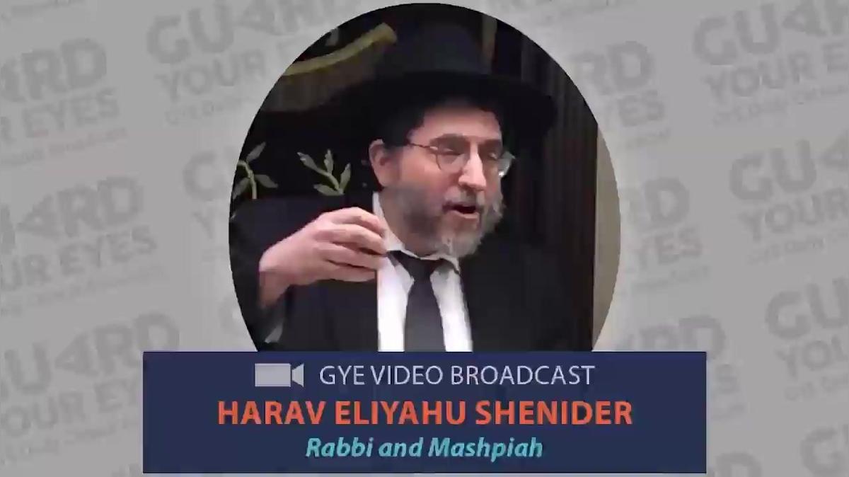 390 - Rabbi Eliyahu Schneider - Comida para perros