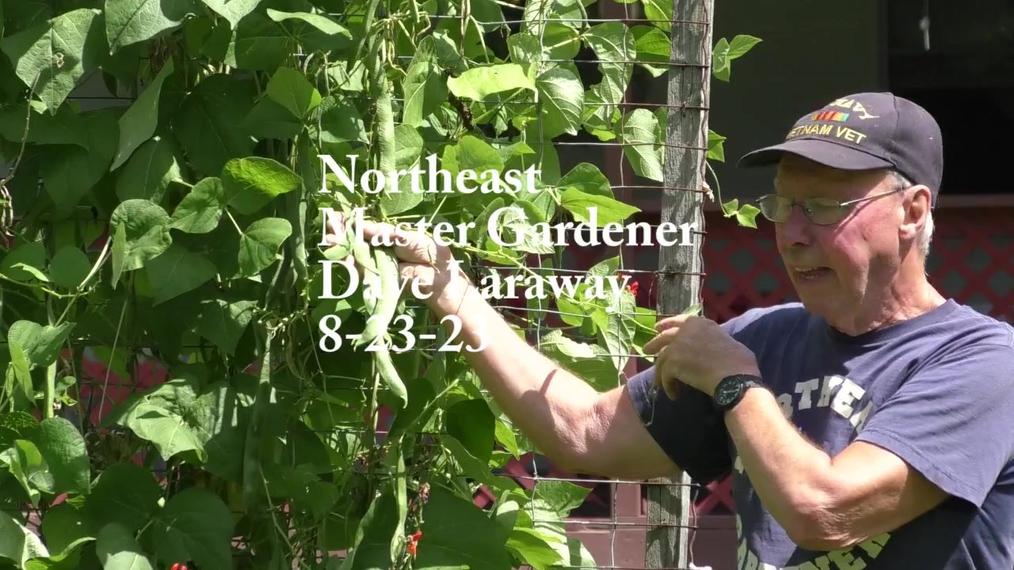 Northeast Master Gardener_Dave Laraway_8-23-23