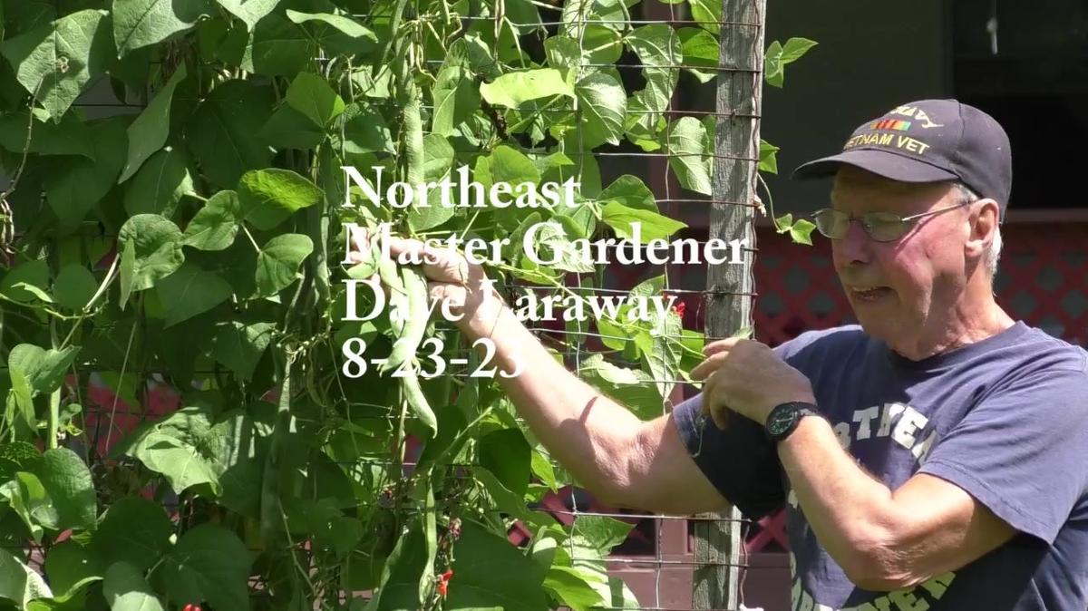 Northeast Master Gardener_Dave Laraway_8-23-23