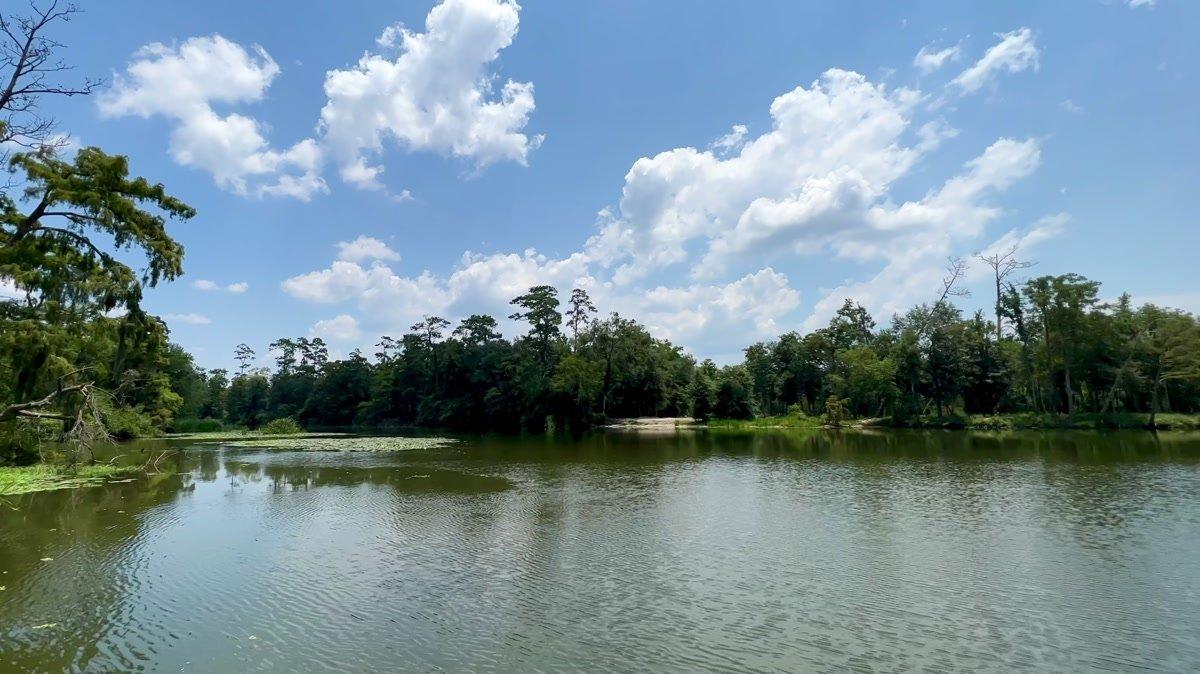 Tchefuncte River in July