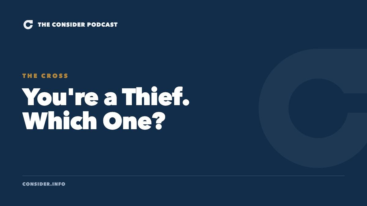 You're a Thief. Which One? Ep 24