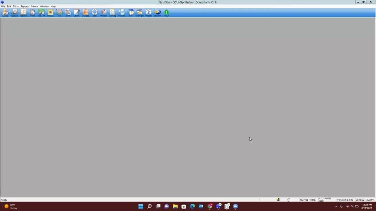 Patient BalancesReading The Financial Tab in NG Practice Management