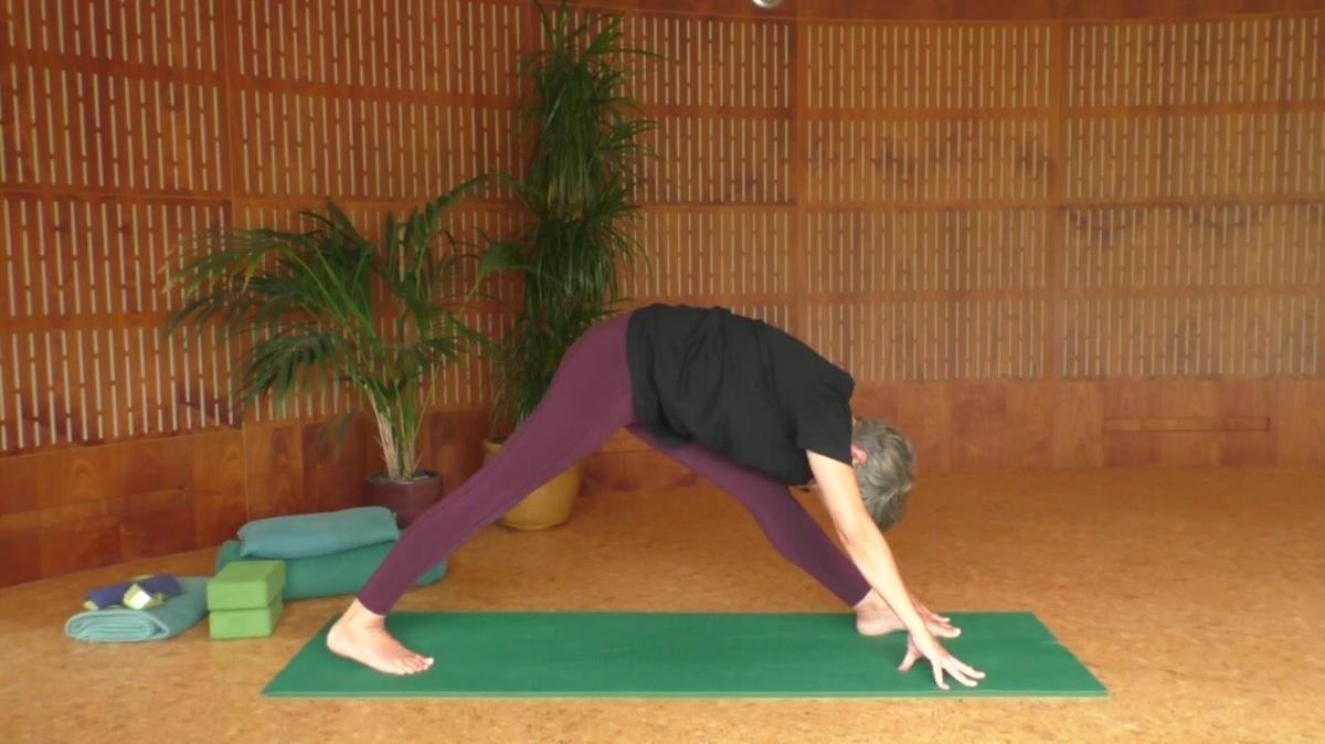 Morning mindful moves. Flow