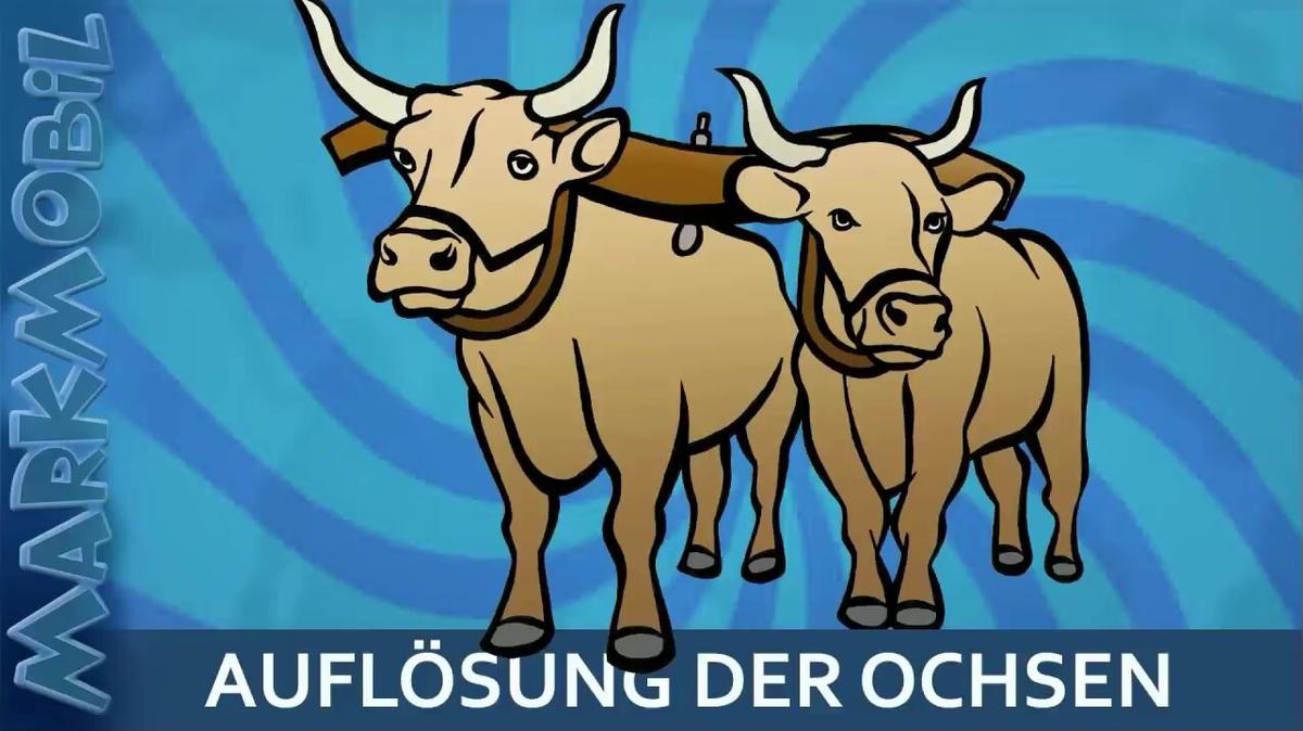 MARKmobil Aktuell - Auflösung der Ochsen