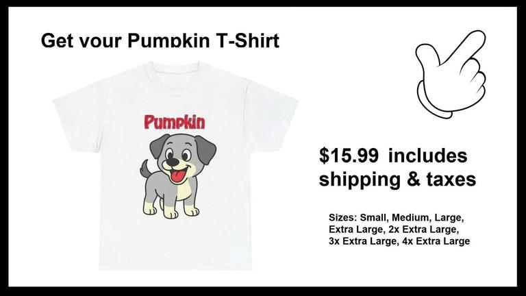 Pumpkin T-Shirt