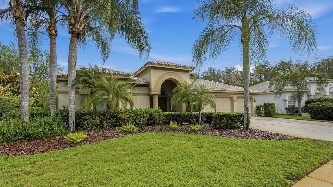 1297 Kings Way Ln, Tarpon Springs, FL 34688_MLS