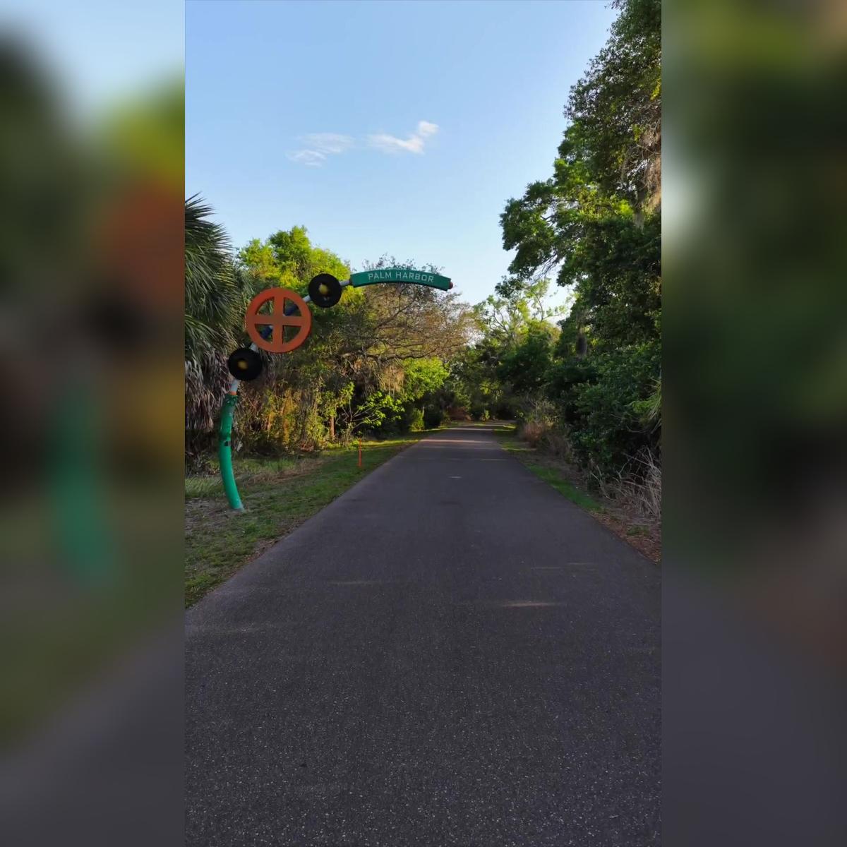 Downtown Palm Harbor, FL_Community Video(REEL)