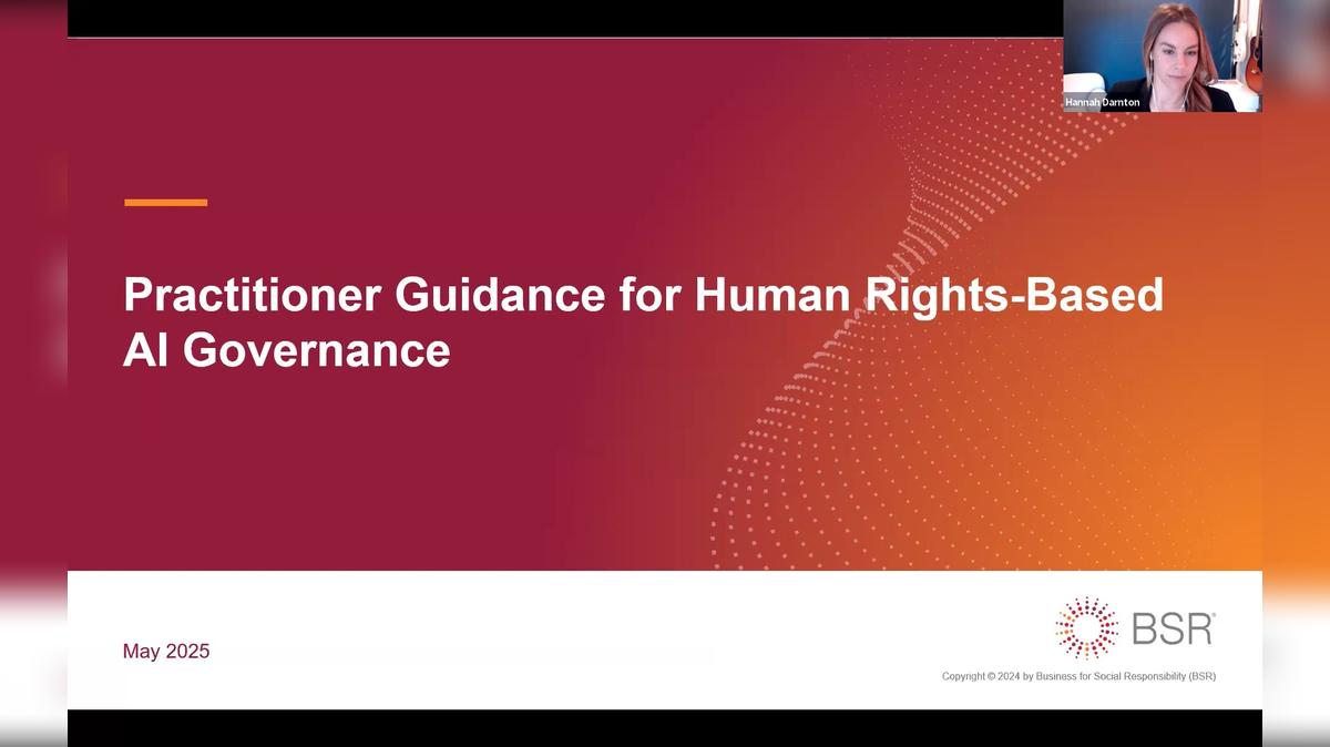 Practitioner Guidance for Human Rights-Based AI Governance (Americas/EMEA)