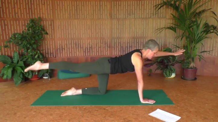 Somatics for back body