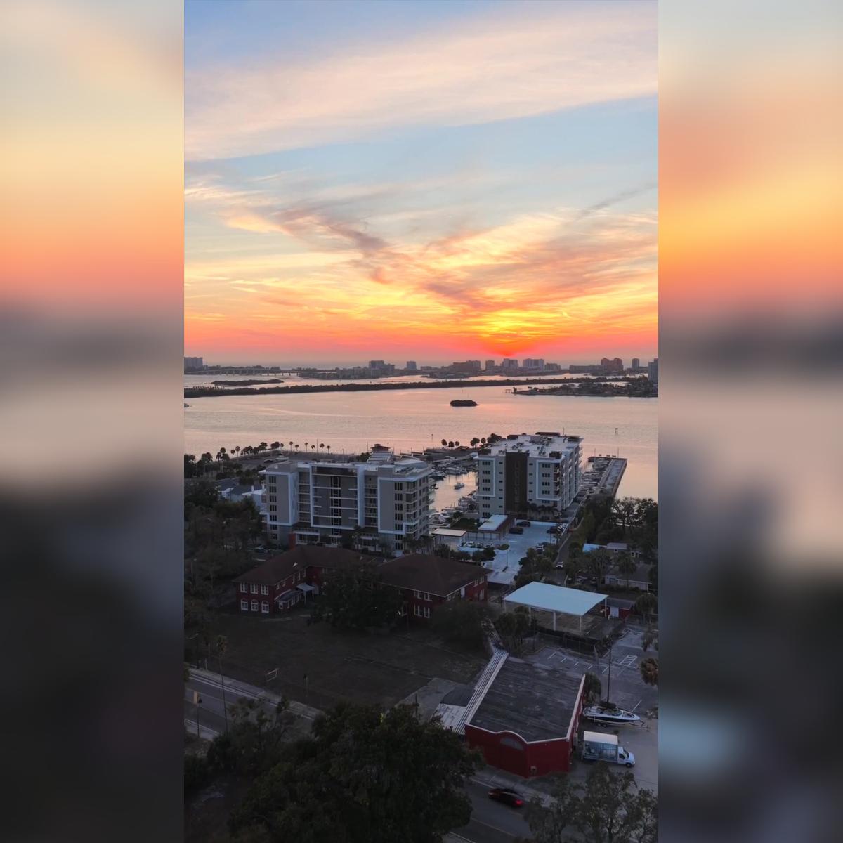 920 N Osceola Ave, #702, Clearwater, FL