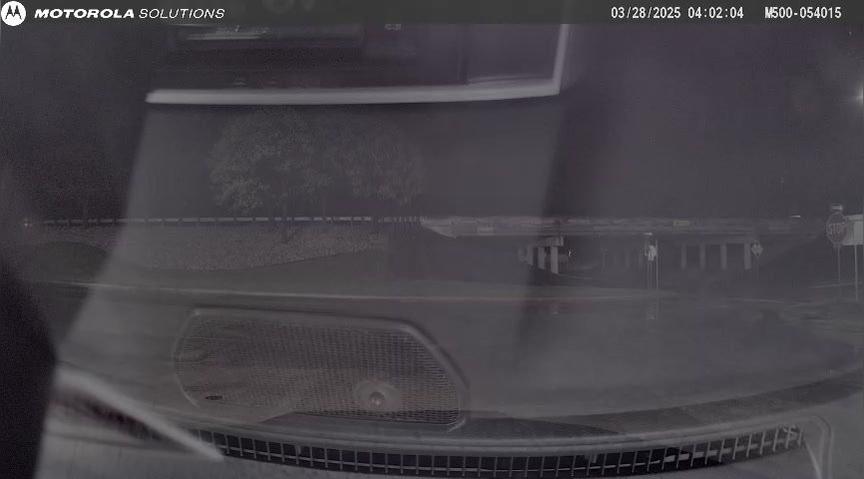 FPE286172 - Alem - Dash