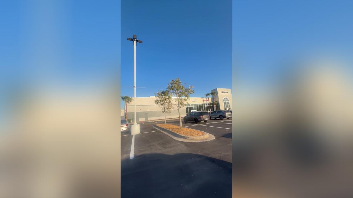 Leila 2016 Ford Explorer by Ray