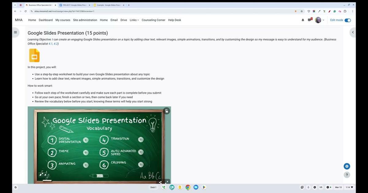 Overview: Google Slides Presentation