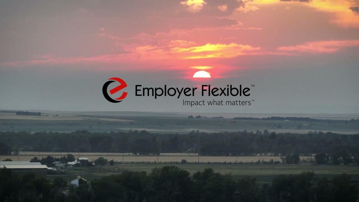 Employer Flexible - Brawl of the Wild spot