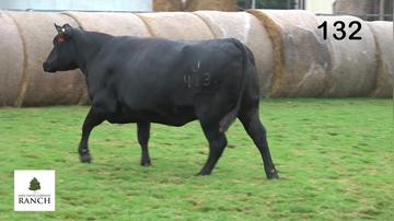 Lot 132 1423J