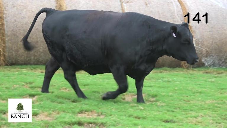 Lot 141 E146