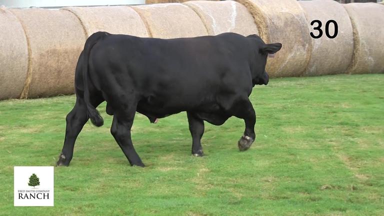 Lot 30 M116