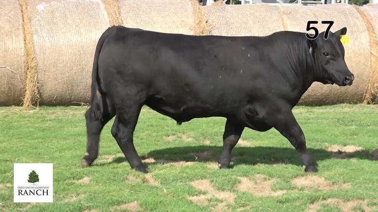 Lot 57 M159