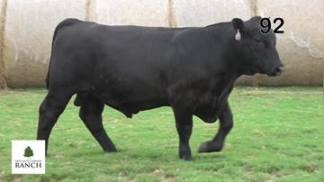 Lot 92 M236