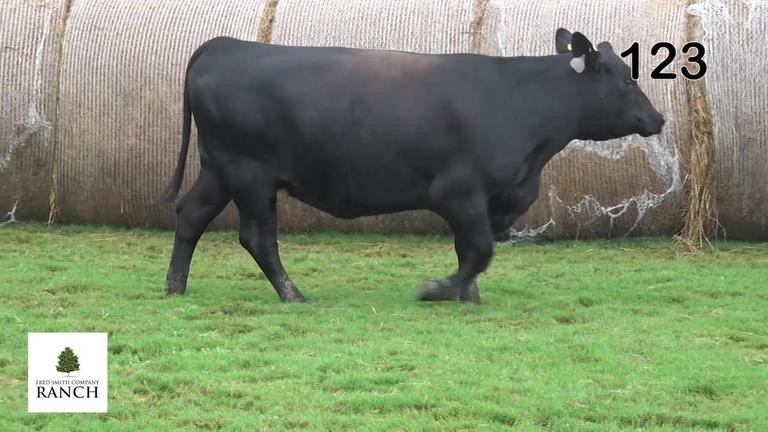 Lot 123 L242
