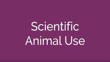 Scientific Animal Use