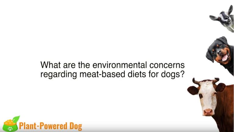 Farmed Animals Environmental Impacts 2018