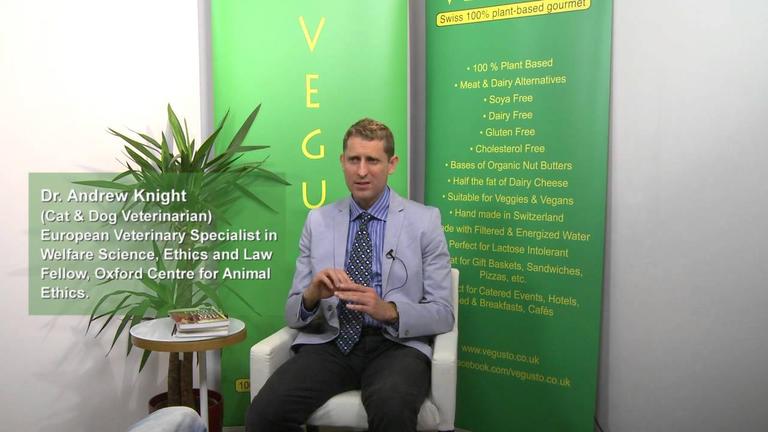 How to transition your cat or dog to a vegetarian or vegan diet?