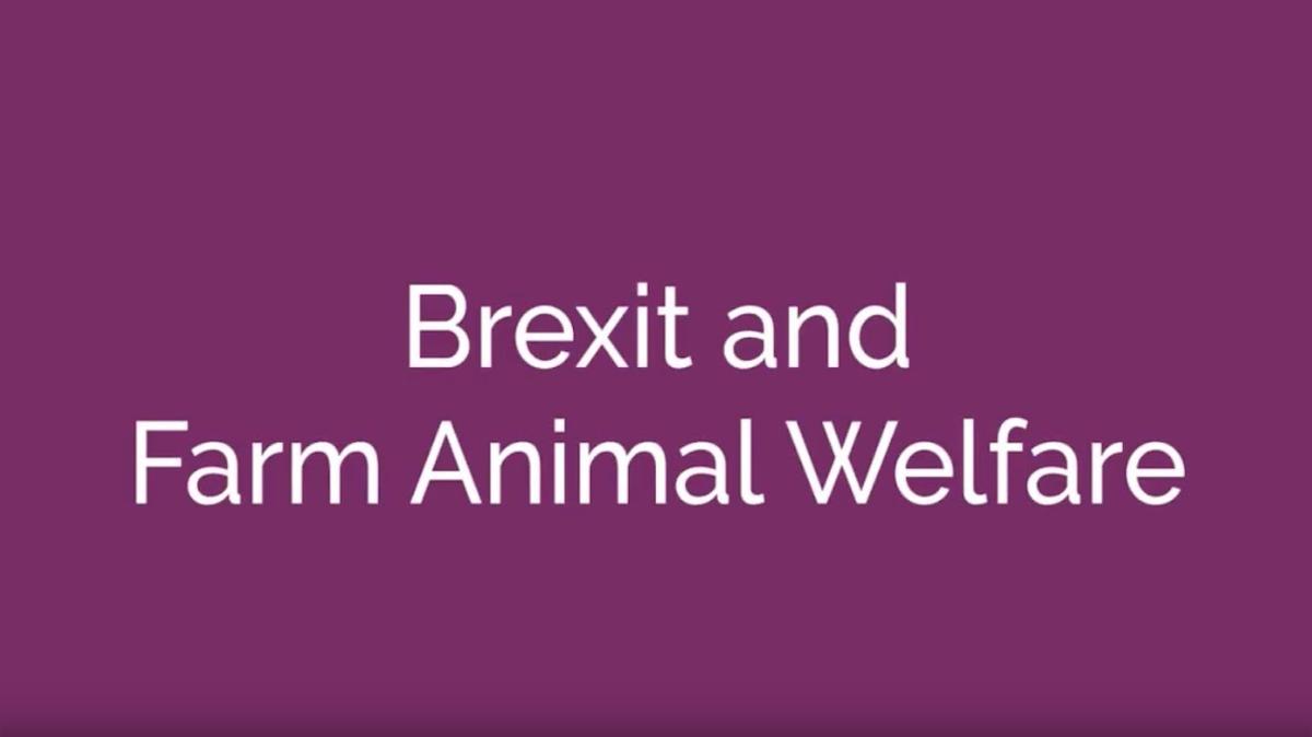 Brexit and Farm Animal Welfare