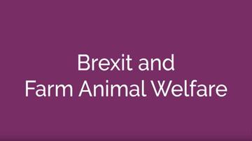 Brexit and Farm Animal Welfare