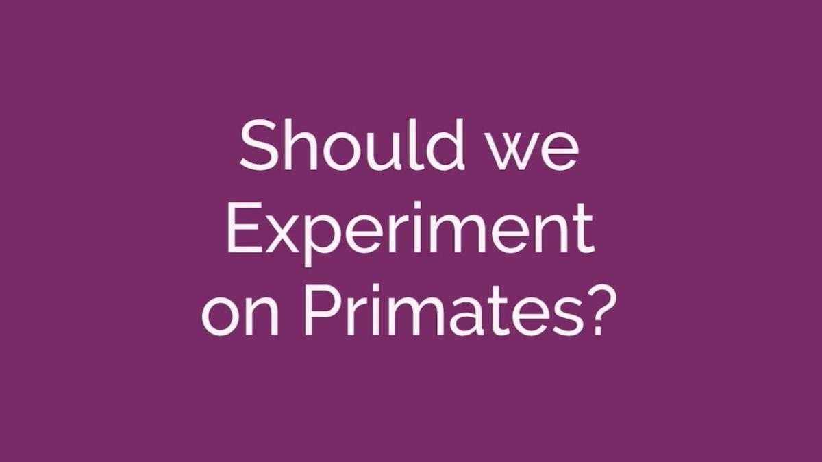 Primate research