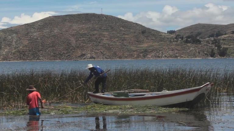 Traducir lo propio (o el síntoma por recordar)