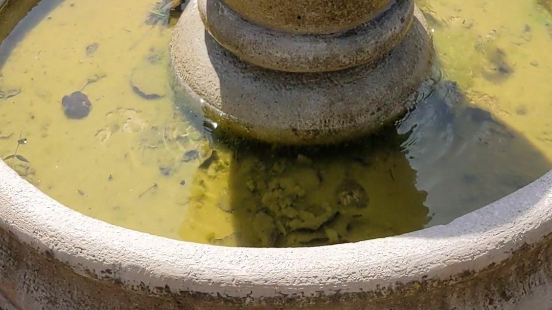 Fountain in the sunshine and breeze