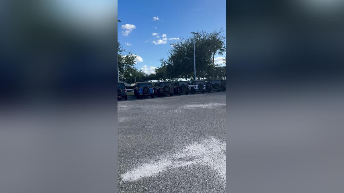 Shane's video by Carla @ Airport CDJR