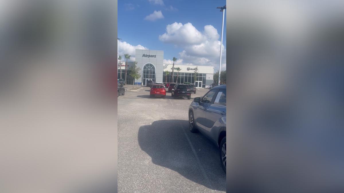 Michael's Sunday afternoon video by Leo