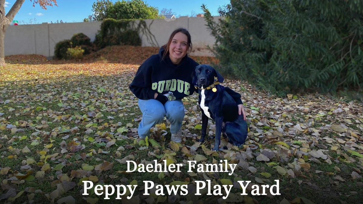 2024 01 11 Dog Trainer Alayna Daehler and Mackey!