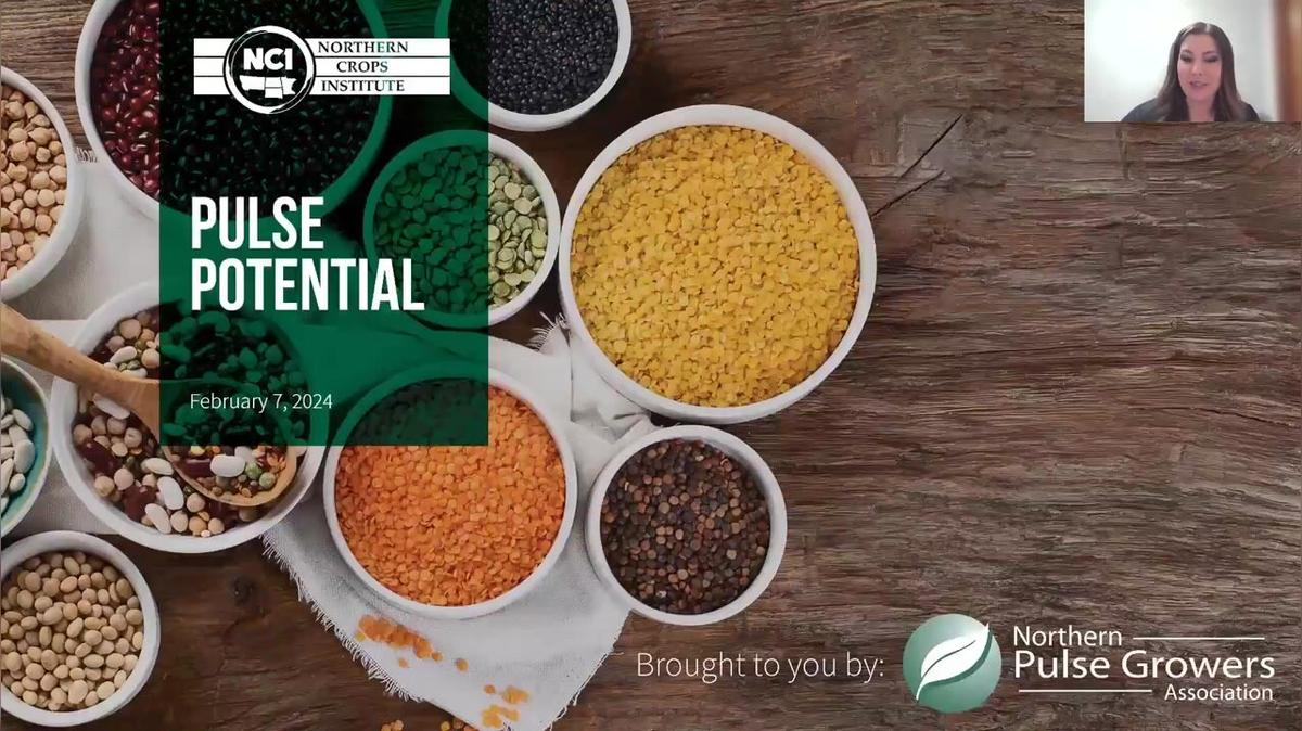 Pulse Potential with Neil Doty