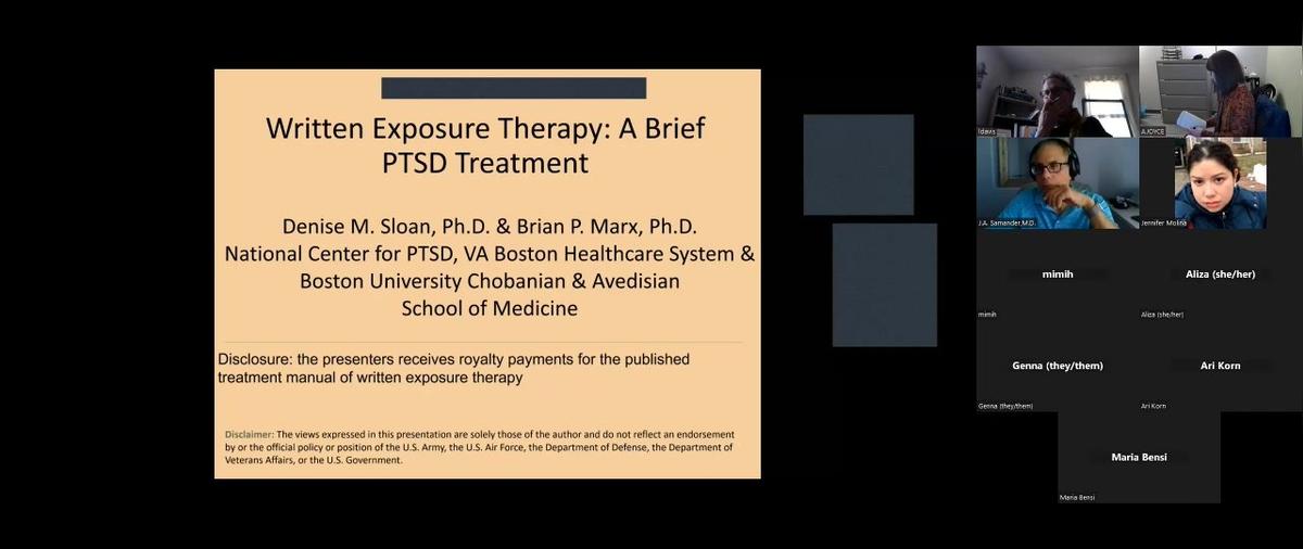 Therapist Training Session 1